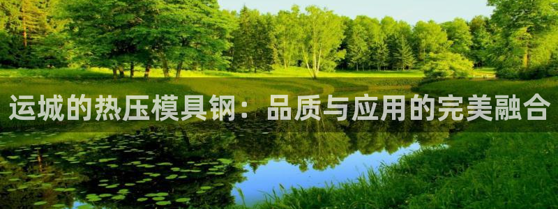 易倍电竞：运城的热压模具钢：品质与应用的完美融合