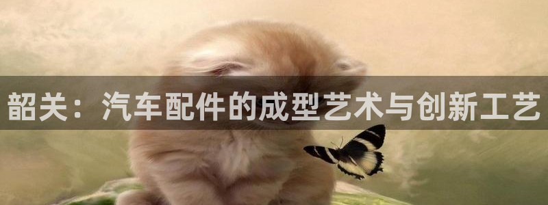 易倍纤官网：韶关：汽车配件的成型艺术与创新工艺