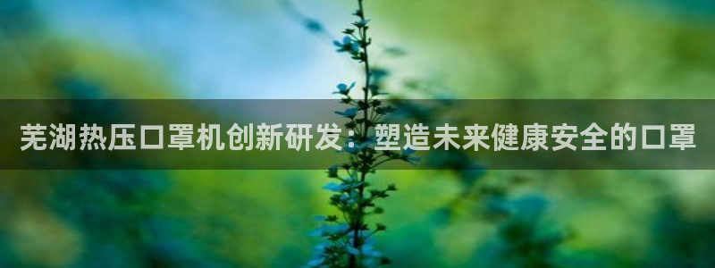 易倍单词软件：芜湖热压口罩机创新研发：塑造未来健康安全的