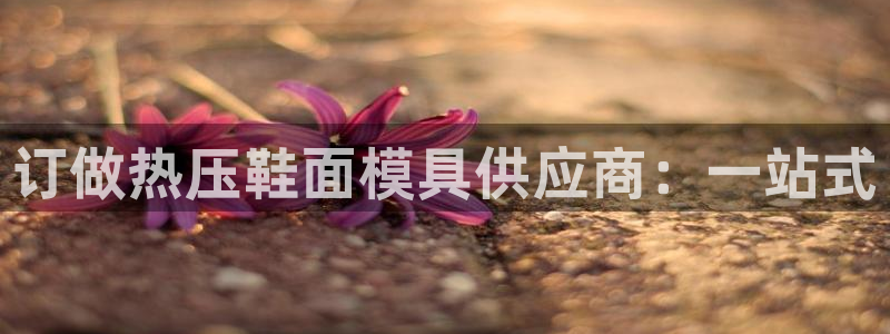 易倍申片能长期服用吗：订做热压鞋面模具供应商：一站式