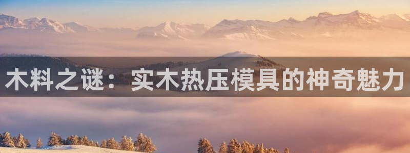 emc易倍官网：木料之谜：实木热压模具的神奇魅力