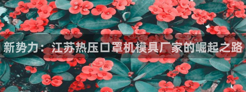 易倍申怎么样：新势力：江苏热压口罩机模具厂家的崛起之路