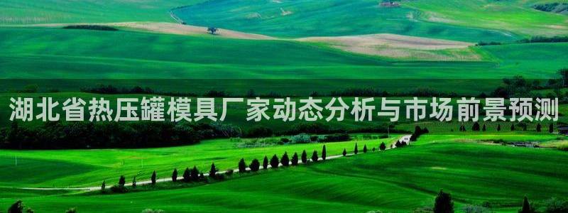 易倍申每盒价格是多少?：湖北省热压罐模具厂家动态分析与市