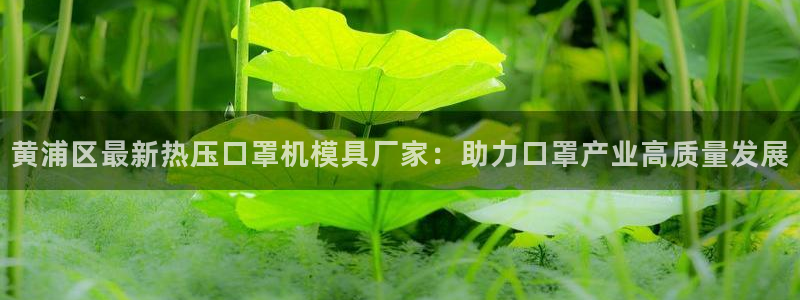 易倍网络技术有限公司：黄浦区最新热压口罩机模具厂家：助力