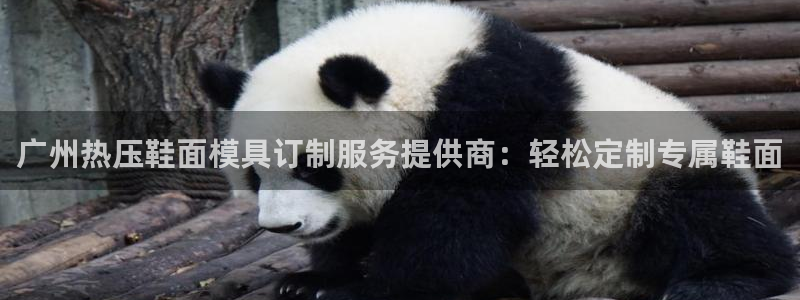 emc易倍怎么样：广州热压鞋面模具订制服务提供商：轻松定