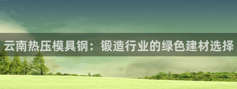 emc下载ios：云南热压模具钢：锻造行业的绿色建材选择