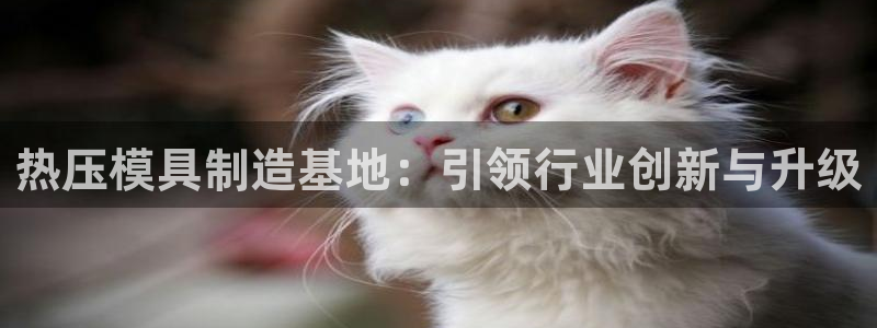 易倍申竞品：热压模具制造基地：引领行业创新与升级