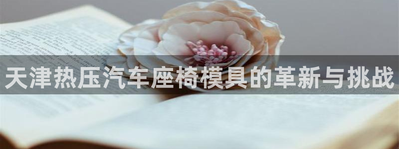 易倍纤能减肥吗：天津热压汽车座椅模具的革新与挑战