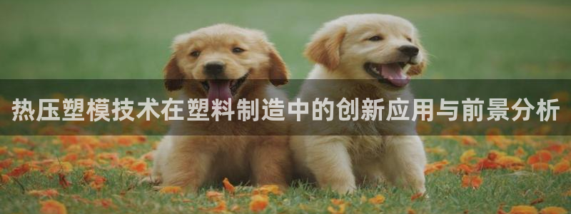 emc易倍官网登录首页：热压塑模技术在塑料制造中的创新应