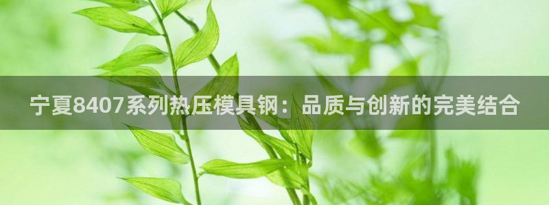 emc易倍在线登录：宁夏8407系列热压模具钢：品质与创
