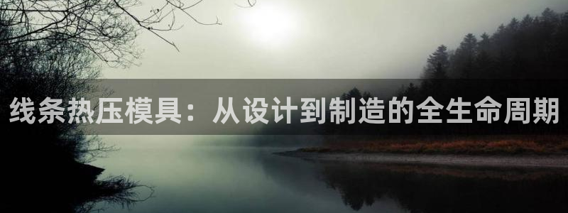 易倍纤奶昔减肥效果怎么样：线条热压模具：从设计到制造的全