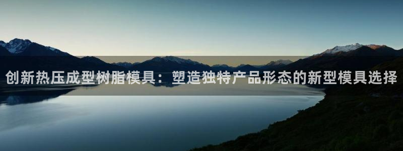 易倍网络技术有限公司：创新热压成型树脂模具：塑造独特产品