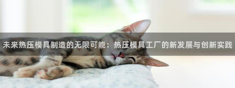 易倍网页版登录：未来热压模具制造的无限可能：热压模具工厂