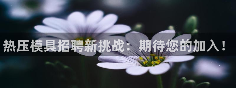 易倍下载地址：热压模具招聘新挑战：期待您的加入！