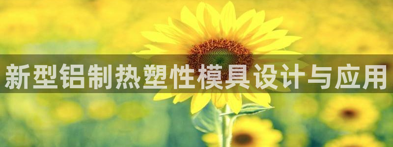 易倍网络技术有限公司：新型铝制热塑性模具设计与应用