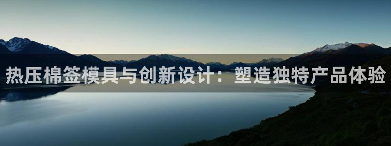杭州易倍达科技有限公司怎么样：热压棉签模具与创新设计：塑