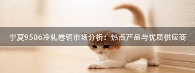 emc易倍官网首页：宁夏9506冷轧卷钢市场分析：热点产