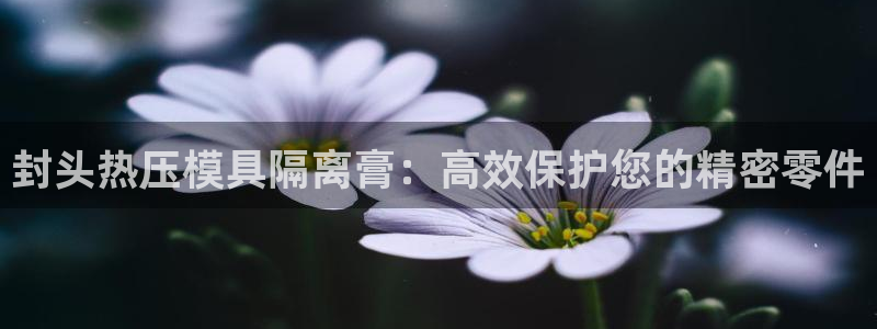 易倍网络技术有限公司官网：封头热压模具隔离膏：高效保护您