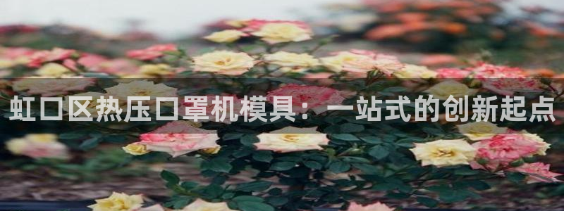 emc易倍账号异常：虹口区热压口罩机模具：一站式的创新起