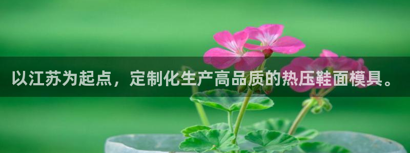 emc易倍最新链接：以江苏为起点，定制化生产高品质的热压